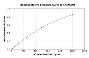 Representative standard curve for Rat IL-33 ELISA kit (A246995)