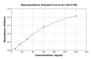 Representative standard curve for Human Calnexin ELISA kit (A312799)