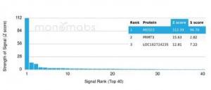 Anti-MED22 Mouse Monoclonal Antibody [Clone: PCRP-MED22-1E4]