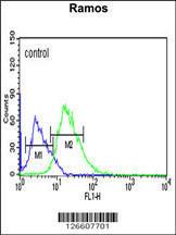 Anti-PIANP Rabbit Polyclonal Antibody