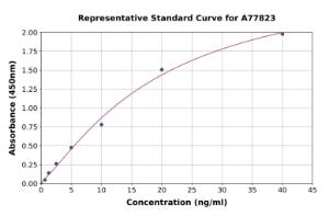 Representative standard curve for Mouse CD14 ELISA kit (A77823)