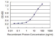 Anti-CPSF6 Mouse Monoclonal Antibody [clone: 1C5]