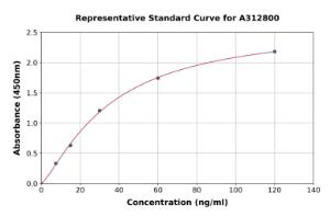 Representative standard curve for Human RNase 7 ELISA kit (A312800)