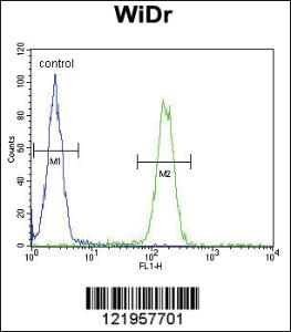 Anti-SCNN1A Rabbit Polyclonal Antibody