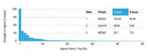 Analysis of protein array containing more than 19,000 full-length human proteins using Anti-MED22 Antibody [PCRP-MED22-2A7] Z-Score and S- Score