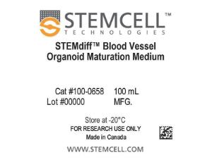 STEMdiff™ Blood Vessel Organoid maturation medium