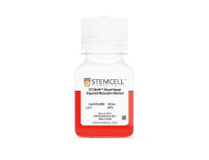 STEMdiff™ Blood Vessel Organoid maturation medium