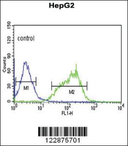 Anti-GLS Rabbit Polyclonal Antibody