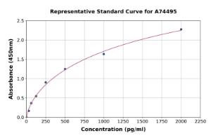 Representative standard curve for Mouse beta Nerve Growth Factor ELISA kit (A74495)