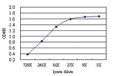 Anti-NEK3 Antibody Pair