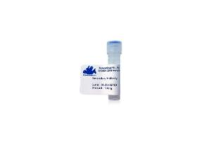 Anti-IgG Goat Polyclonal Antibody