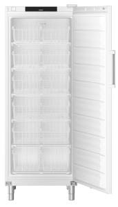 Freezer FFFsg 6501