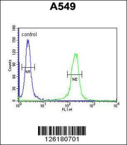 Anti-IFT43 Rabbit Polyclonal Antibody (AP (Alkaline Phosphatase))