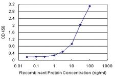 Anti-ASB9 Polyclonal Antibody Pair