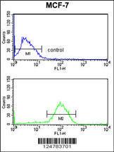 Anti-AGR3 Rabbit Polyclonal Antibody