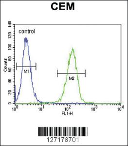 Anti-FAM105B Rabbit Polyclonal Antibody