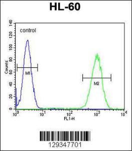 Anti-WDR93 Rabbit Polyclonal Antibody