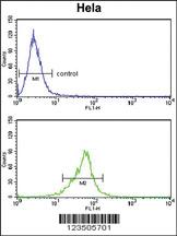 Anti-MAP2K3 Rabbit Polyclonal Antibody