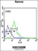 Anti-C19orf18 Rabbit Polyclonal Antibody (APC (Allophycocyanin))