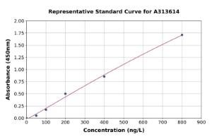 Representative standard curve for human BIN3 ELISA kit (A313614)