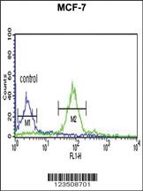 Anti-MAP3K5 Rabbit Polyclonal Antibody