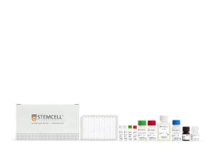 Human CD13 (ANPEP) ELISA kit