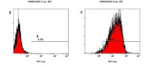 Anti-CD11B/C Rabbit Polyclonal Antibody