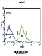 Anti-CANT1 Rabbit Polyclonal Antibody