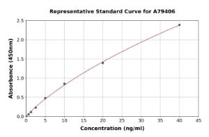 Representative standard curve for Rat GSK3 alpha ELISA kit (A79406)