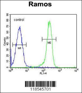 Anti-PDE4B Rabbit Polyclonal Antibody (APC (Allophycocyanin))