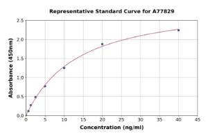 Representative standard curve for Human CD28 ELISA kit (A77829)