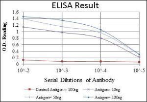 Anti-ENG Mouse monoclonal antibody unconjugated [clone: 3A9]