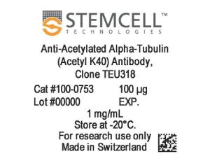 Anti-Acetylated Alpha-Tubulin (Acetyl K40) antibody, spectrum TEU318