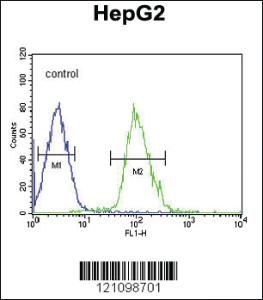 Anti-CRHBP Rabbit Polyclonal Antibody