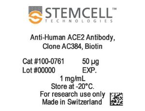 Anti-human ACE2 antibody, spectrum AC384