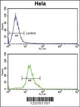 Anti-DOLK Rabbit Polyclonal Antibody