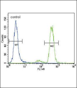 Anti-PRKCA Rabbit Polyclonal Antibody