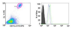 Anti-CCR1 Rabbit Polyclonal Antibody