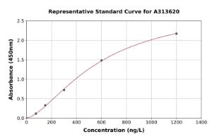 Representative standard curve for mouse SorLA/SORL1 ELISA kit (A313620)