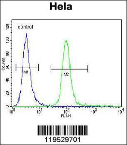 Anti-HMFG Rabbit Polyclonal Antibody (HRP (Horseradish Peroxidase))