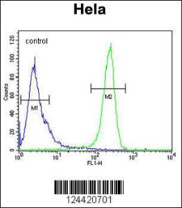 Anti-DTL Rabbit Polyclonal Antibody (AP (Alkaline Phosphatase))