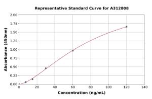 Representative standard curve for Human Liver Arginase ELISA kit (A312808)