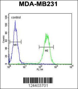 Anti-PRSS3 Rabbit Polyclonal Antibody (PE (Phycoerythrin))