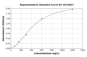 Representative standard curve for human SURF4 ELISA kit (A313621)