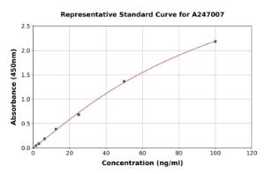 Representative standard curve for Rabbit IgG ELISA kit (A247007)