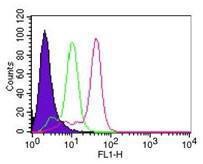 Anti-Caspase 8 Mouse Monoclonal Antibody [clone: 90A992]