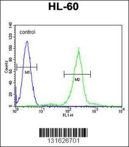 Anti-C1QC Rabbit Polyclonal Antibody