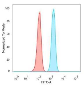 Antibody anti-EIF4E pcrp-EIF4E-1D3 100 µg