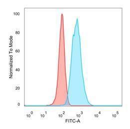 Antibody anti-EIF4E pcrp-EIF4E-1D3 100 µg