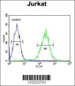 Anti-RPR1B Rabbit Polyclonal Antibody (HRP (Horseradish Peroxidase))